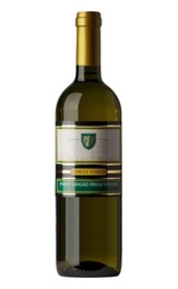 Вино Cevico Gruppo Conte Fosco Pinot Grigio delle Venezia 2016 0,75 л