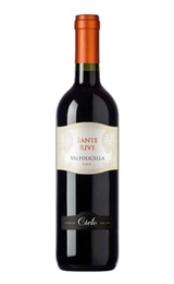 Вино Cielo e Terra Gruppo Sante Rive Valpolicella DOC 2016 0,75 л