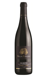 Вино Villa Molino Amarone della Valpolicella 2013 0,75 л