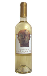 Вино Clos Quebrada De Macul Penalolen Sauvignon Blanc 2015 0,75 л