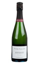 Шампанское Pierre Paillard Les Mottelettes Bouzy Grand Cru Blanc de Blancs 2010 Extra Brut 0,75 л