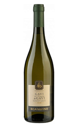 Вино Scanavino Gavi del Comune di Gavi 2016 0,75 л
