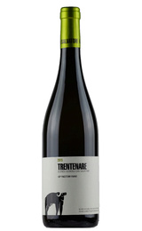 Вино San Salvatore Trentenare Fiano Paestum 2017 0,75 л