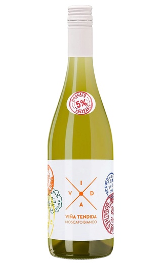 Анекуп Винья Тендида Красное Полусладкое 2016 0.75 л фото вино Anecoop Vina Tendida Tinto Semidulce 2016 0,75 л