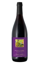 Вино Castellani Il Valore Pinot Nero Delle Venezia 2017 0,75 л