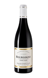 Вино Domaine Pierre Gelin Bourgogne Pinot Noir 2018 0,75 л