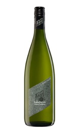 Вино Weingut Pfaffl Gruner Veltliner Landwein 1 л