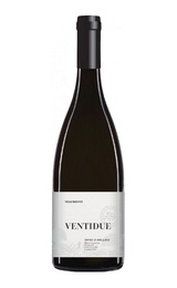 Вино Villa Raiano Ventidue Fiano di Avellino 2016 0,75 л