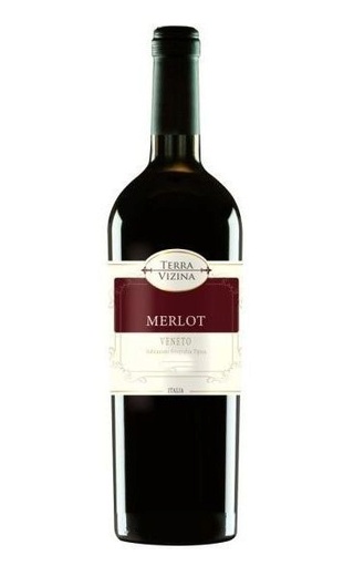 Казере Терра Вицина Мерло Венето 2019 0.75 л фото вино Casere Terra Vizina Merlot Veneto 2019 0,75 л