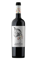 Вино Casa de la Ermita Lunatico Monastrell 1,5 л