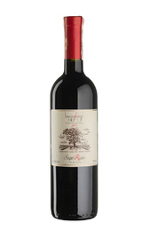 Вино Gocha Ichkitidze Saperavi 2017 0,75 л