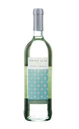 Вино Botter Prima Alta Pinot Grigio 0,75 л
