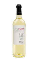Вино Anna Spinato Diligo Pinot Grigio 2019 0,75 л