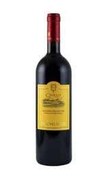 Вино D'Angelo Caselle 2011 0,75 л