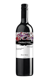 Вино Bodegas Santa Ana Caracter Shiraz-Malbec 2020 0,75 л