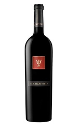 Вино Bodega Numanthia Termanthia 2010 0,75 л