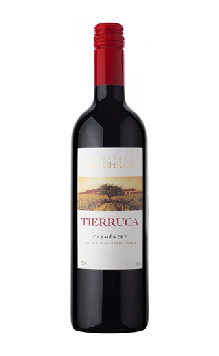 Террука Карменер 0.75 л фото вино Tierruca Carmenere 0,75 л