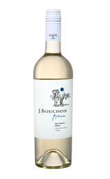 Вино J.Bouchon Sauvignon Blanc Maule Valley 2020 0,75 л