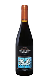 Вино Navarro Correas Coleccion Privada Syrah 2020 0,75 л