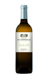 Вино Chateau de Fontenille 2020 0,75 л