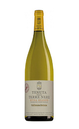 Вино Tenuta delle Terre Nere Calderara Sottana 2020 0,75 л