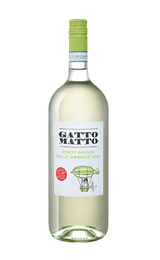 Вино Villa degli Olmi Cari Lentozzi Pinot Grigio 2021 1,5 л