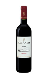 Вино Mas Andes Carmenere 2020 0,75 л