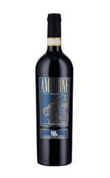 Вино Domini del Leone Amarone della Valpolicella 0,75 л