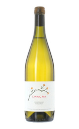 Вино Bodega Chacra Chardonnay 2020 0,75 л