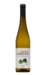 Вино Pequenos Rebentos Alvarinho Trajadura 2021 0,75 л
