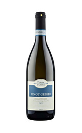 Вино Casere Terra Vizina Pinot Grigio delle Venezie 2021 0,75 л