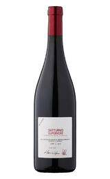 Вино Romagnoli APE Gutturnio Superiore 2019 0,75 л