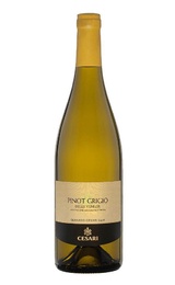 Вино Gerardo Cesari Salvalai Pinot Grigio 2021 12% 0,75 л