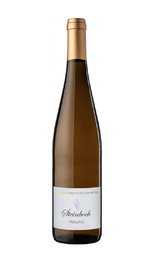 Вино Weingut Dr. Fischer Steinbock Riesling 2021 0,75 л
