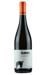Вино San Salvatore Falanghina Campania 2020 0,75 л