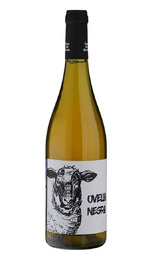 Вино Mas Candi Ovella Negra 2022 0,75 л