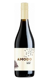 Вино Enoitalia Amodo Pinot Noir 2022 0,75 л