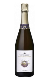 Шампанское Regis Poissinet Terre d'Irizee Extra Brut 2017 0,75 л